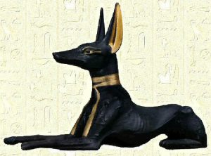 Anubis sous la forme du chacal