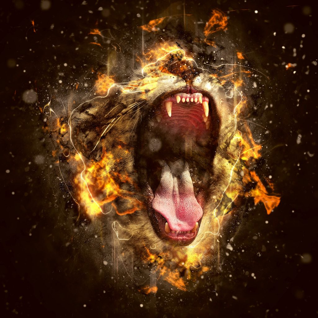 Lion Animal Totem