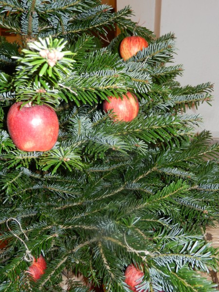 Le sapin de Noël antique