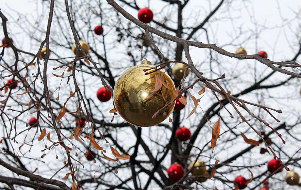 Arbre de Noël extérieur