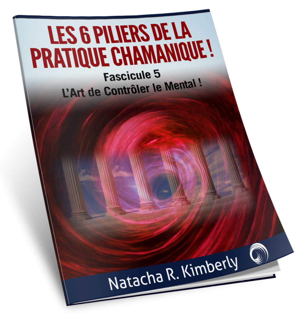 5ème pilier, l'art de contrôler le mental